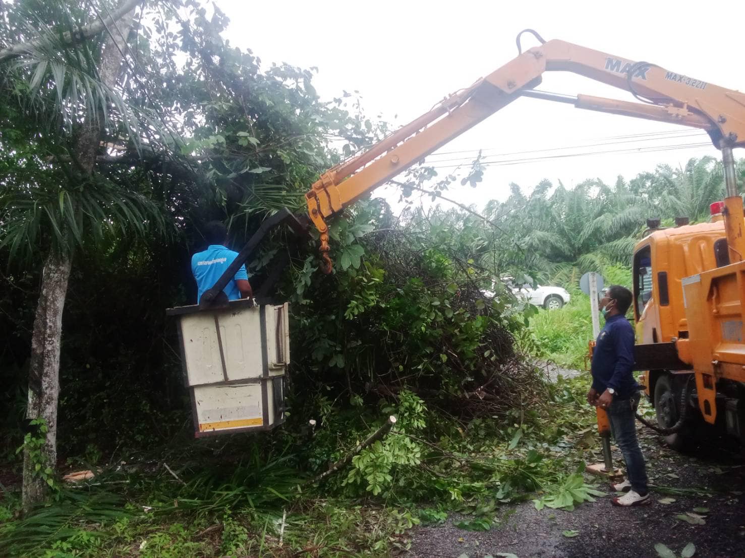 ลงพื้นที่ เหตุไม้หักล้มพาดสายไฟไม้  และถนน  